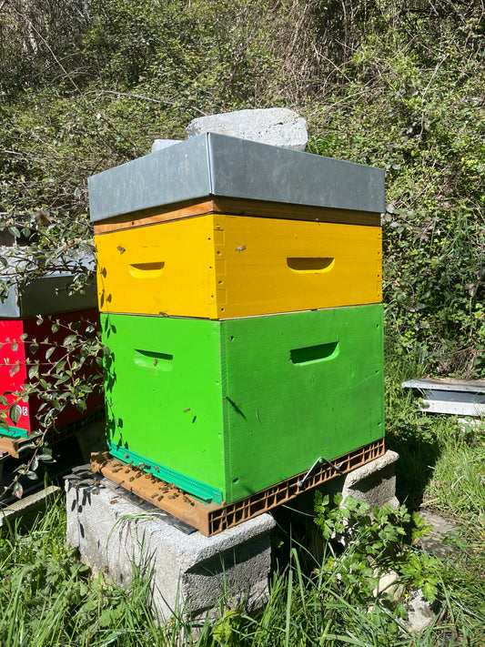 Formation Apicole Autour de PAU